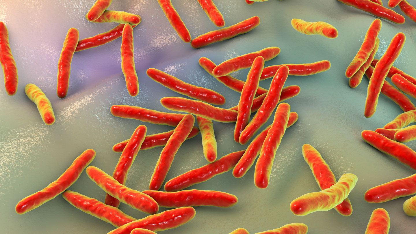 ⚕️ Salud: Prueba de lengua detecta tuberculosis en 30 minutos