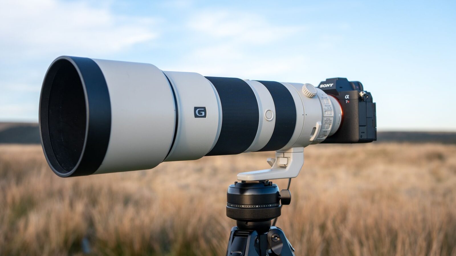 📷 Tecnología: Un zoom 200-600 mm para fauna