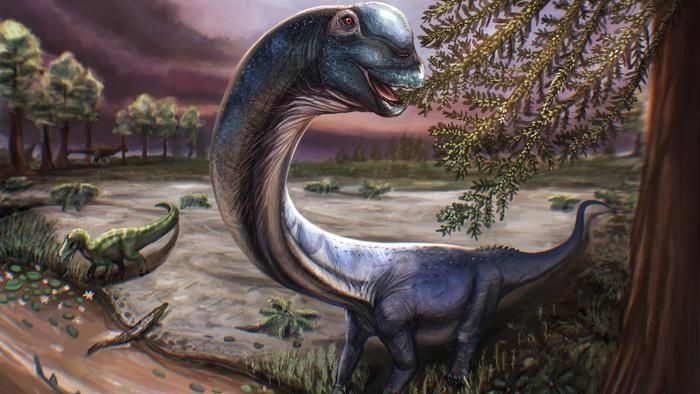 🦕 Paleo: El titán tailandés de cuello récord