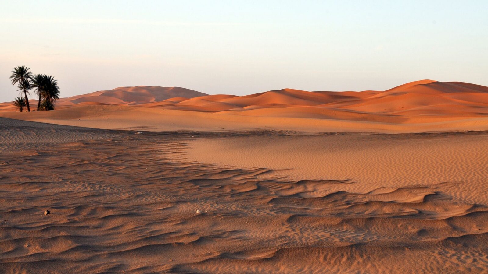 🏺 Arqueología: Detectan 260 necrópolis circulares en el Sahara