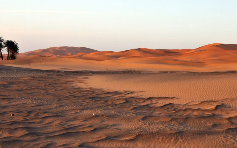 🏺 Arqueología: Detectan 260 necrópolis circulares en el Sahara