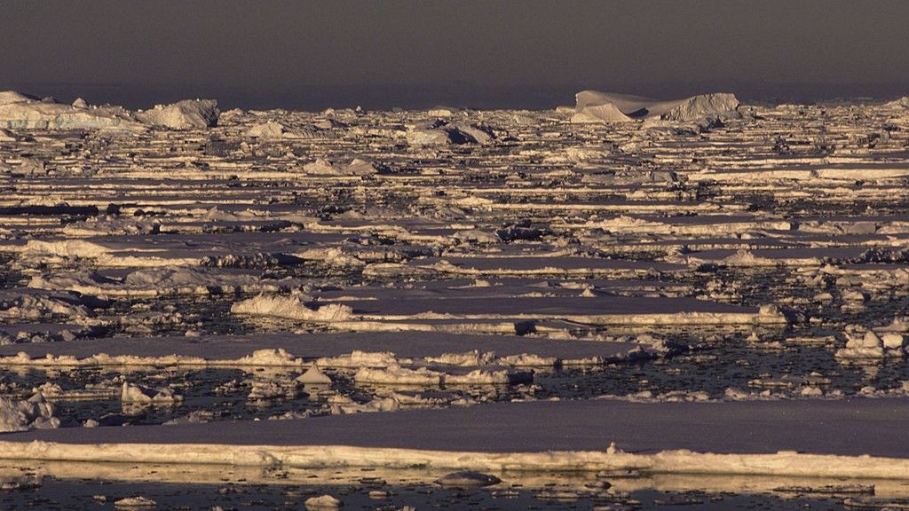 🌍 Clima: El hielo marino antártico se desmorona