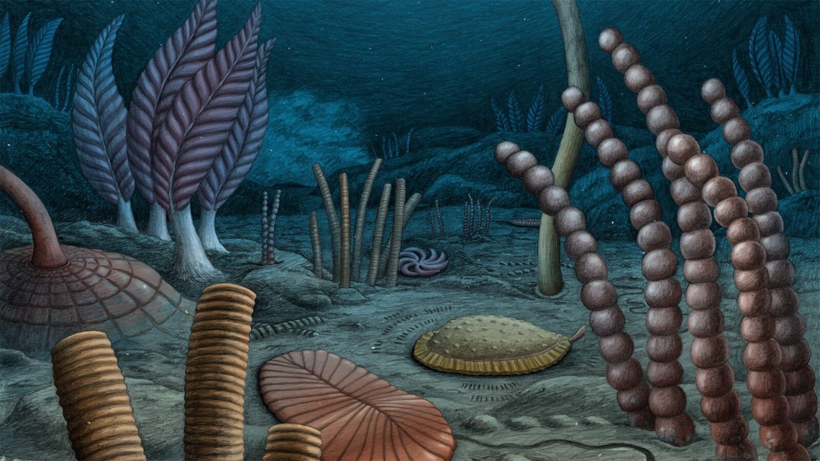 🦕 Paleo: Animales complejos aparecieron antes en Norteamérica