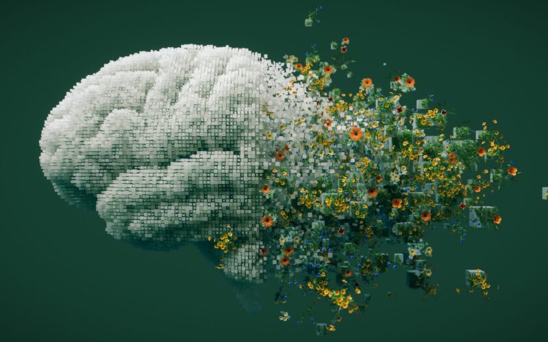 🤖 IA: Un punto humano puede frenar el colapso de modelos