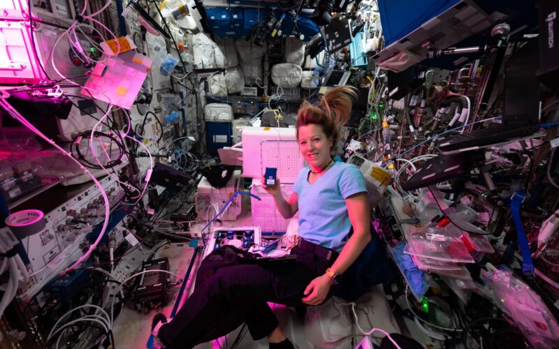 🚀 Espacio: La ISS activa nuevos experimentos de salud