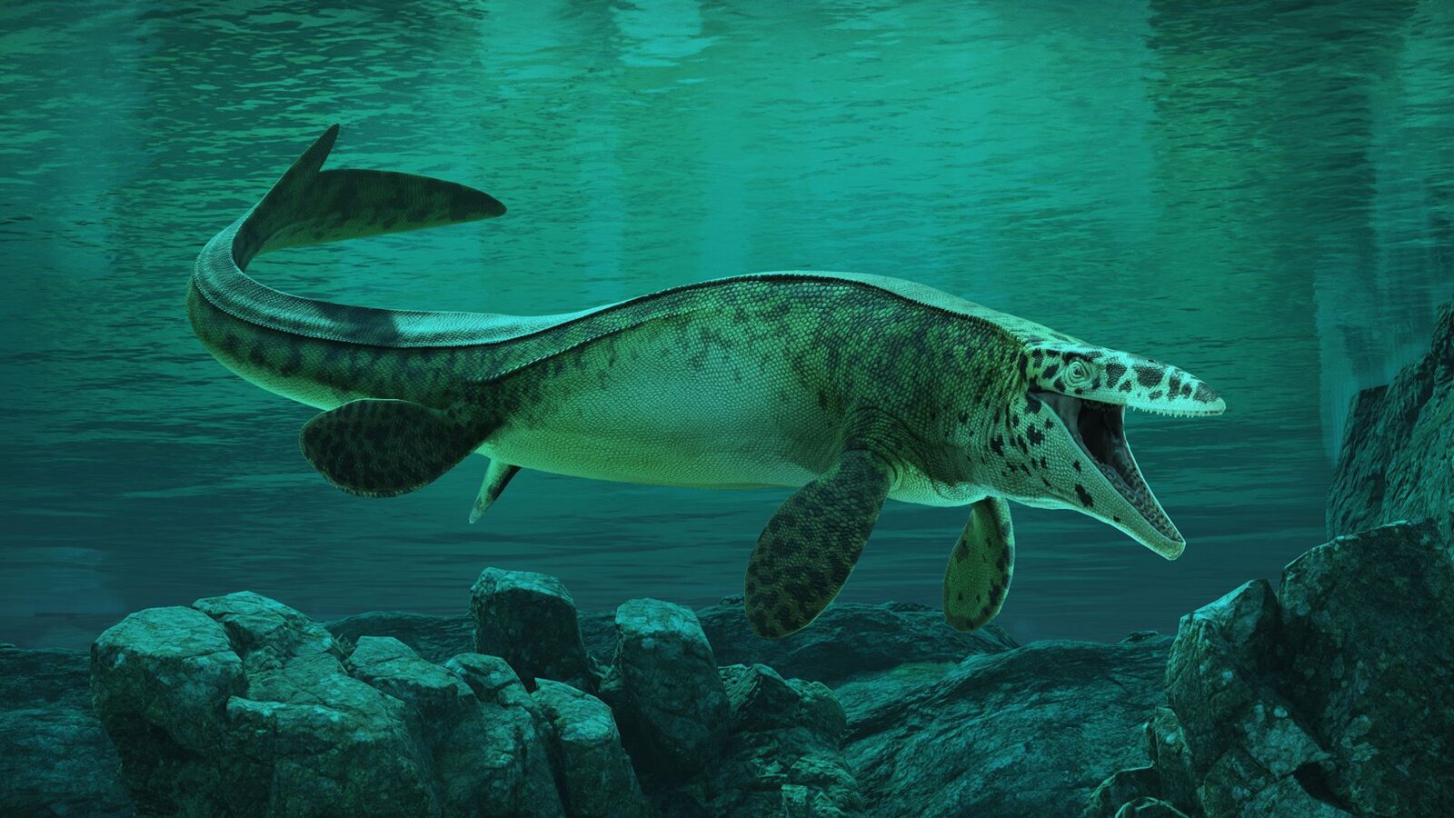 🦕 Paleontología: Un T. rex dominaba mares cretácicos