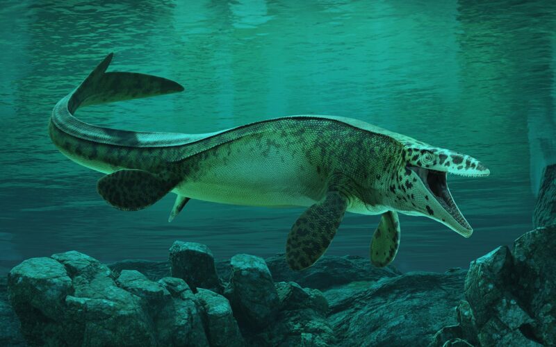 🦕 Paleontología: Un T. rex dominaba mares cretácicos