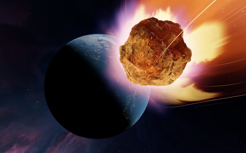 🦕 Paleo: Cómo sobrevivieron al asteroide