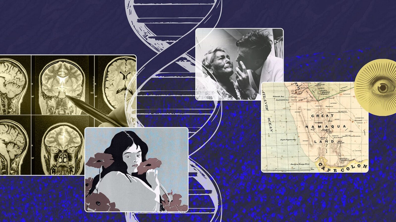 🧠 Neurociencia: La amígdala no sería solo miedo