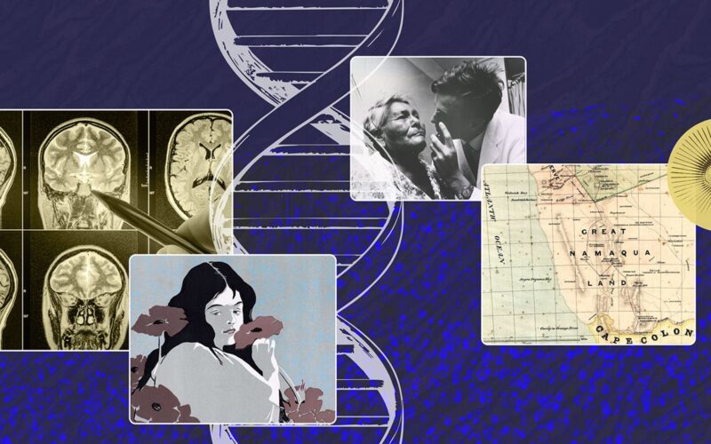 🧠 Neurociencia: La amígdala no sería solo miedo