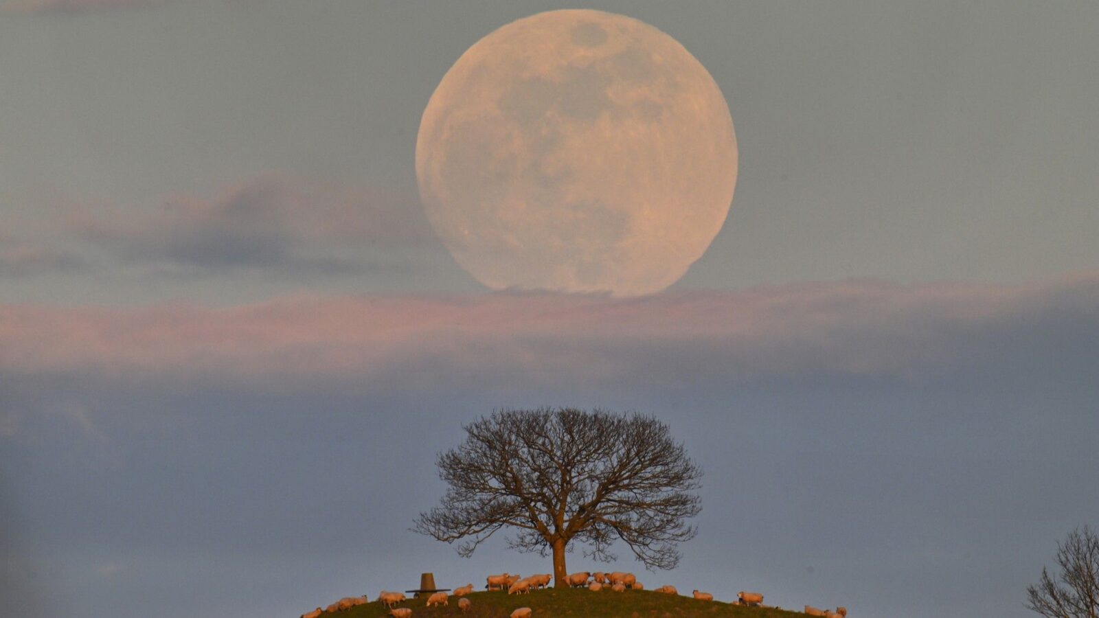 🔬 Método: Cómo ver la Blue Moon en el momento justo