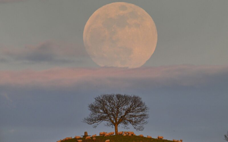 🔬 Método: Cómo ver la Blue Moon en el momento justo