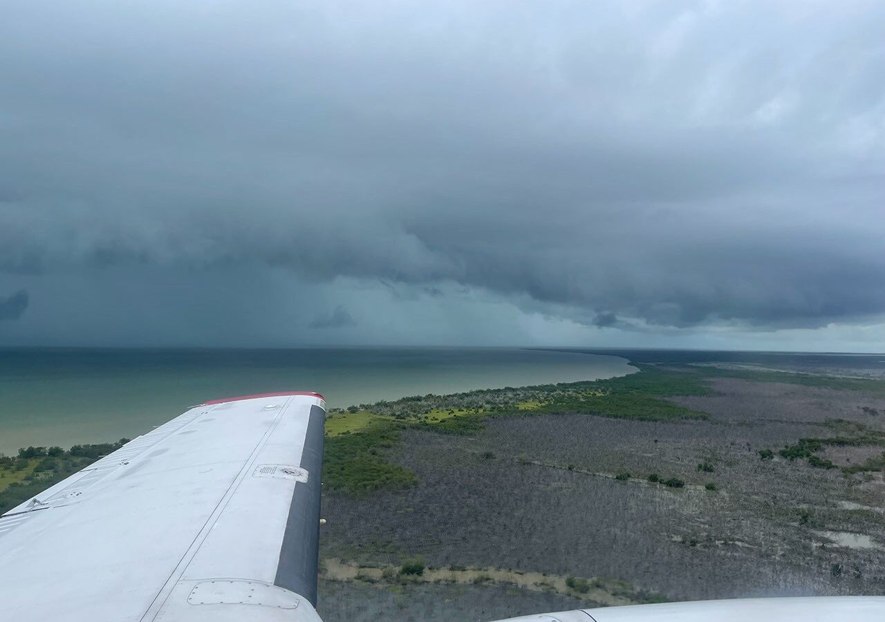 🌍 Clima: los Everglades cambian su papel en el carbono
