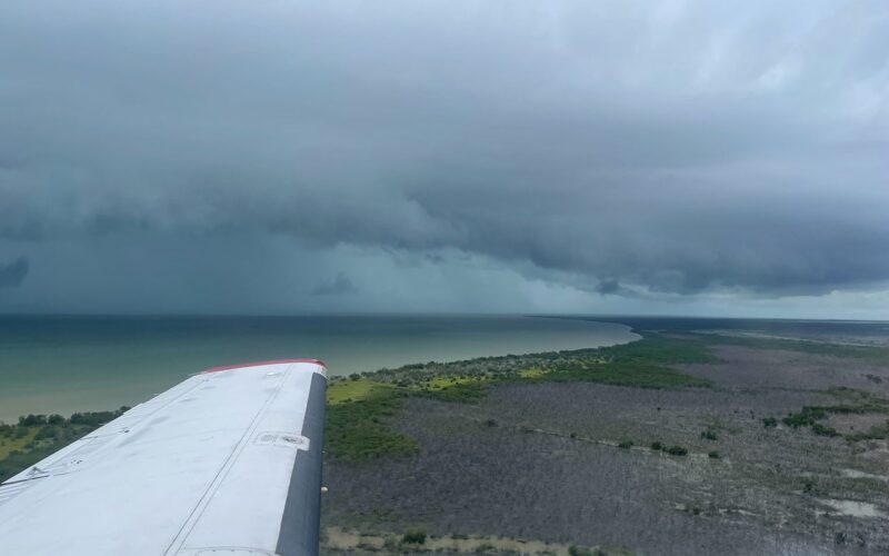 🌍 Clima: los Everglades cambian su papel en el carbono