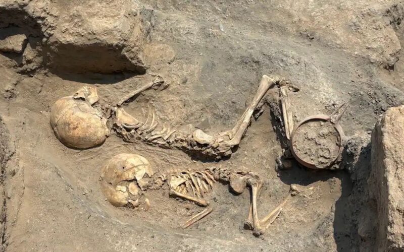🔬 Arqueología: Cirugía craneal de 4 000 años en Uzbekistán