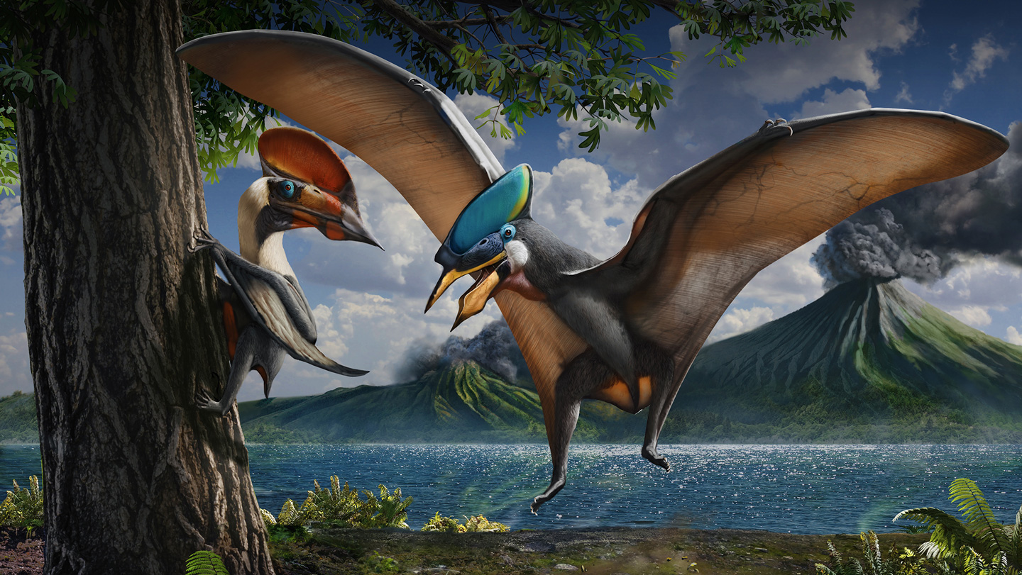 Paleontología: Pterosaurios que brillaban en verde y magenta