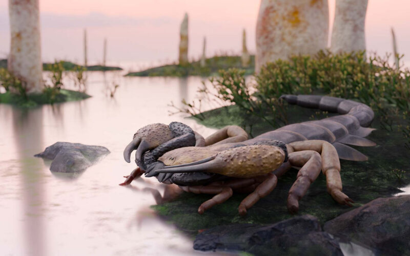 Paleo: El escorpión más grande pudo medir un metro
