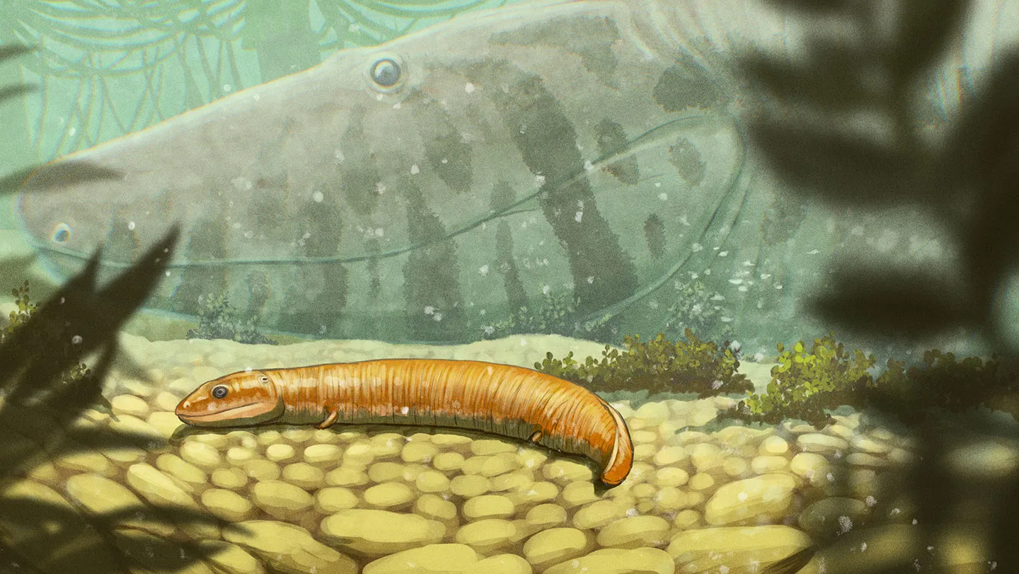 Paleontología: Bebés fósiles desafían una idea de libro
