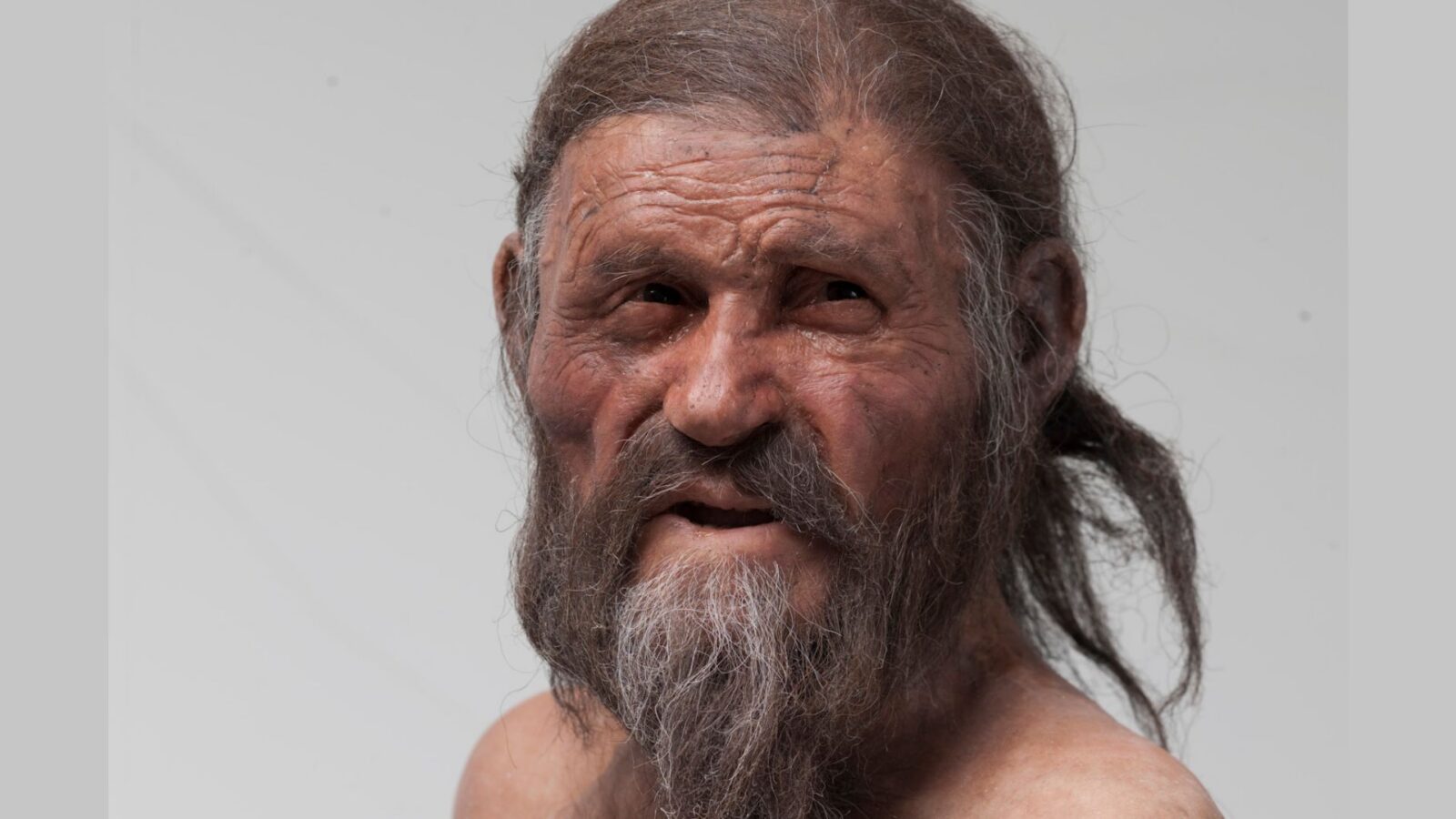 🦠 Arqueología: Hicieron masa madre con levaduras de Ötzi