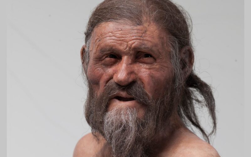 🦠 Arqueología: Hicieron masa madre con levaduras de Ötzi