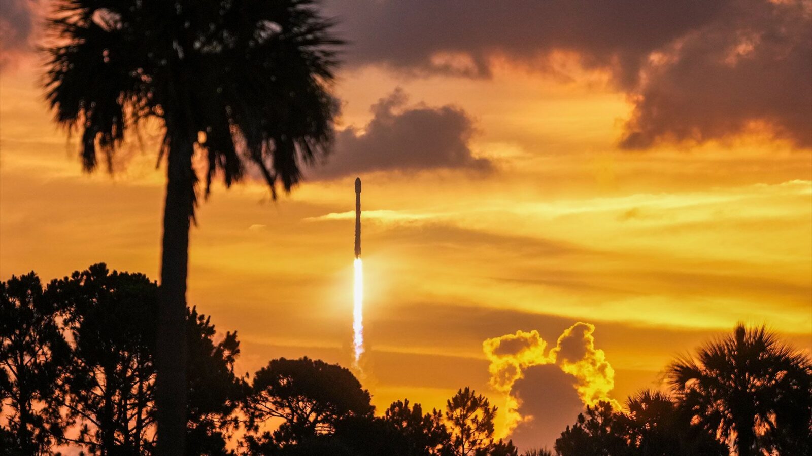 Espacio: dos lanzamientos Starlink en menos de 19 horas