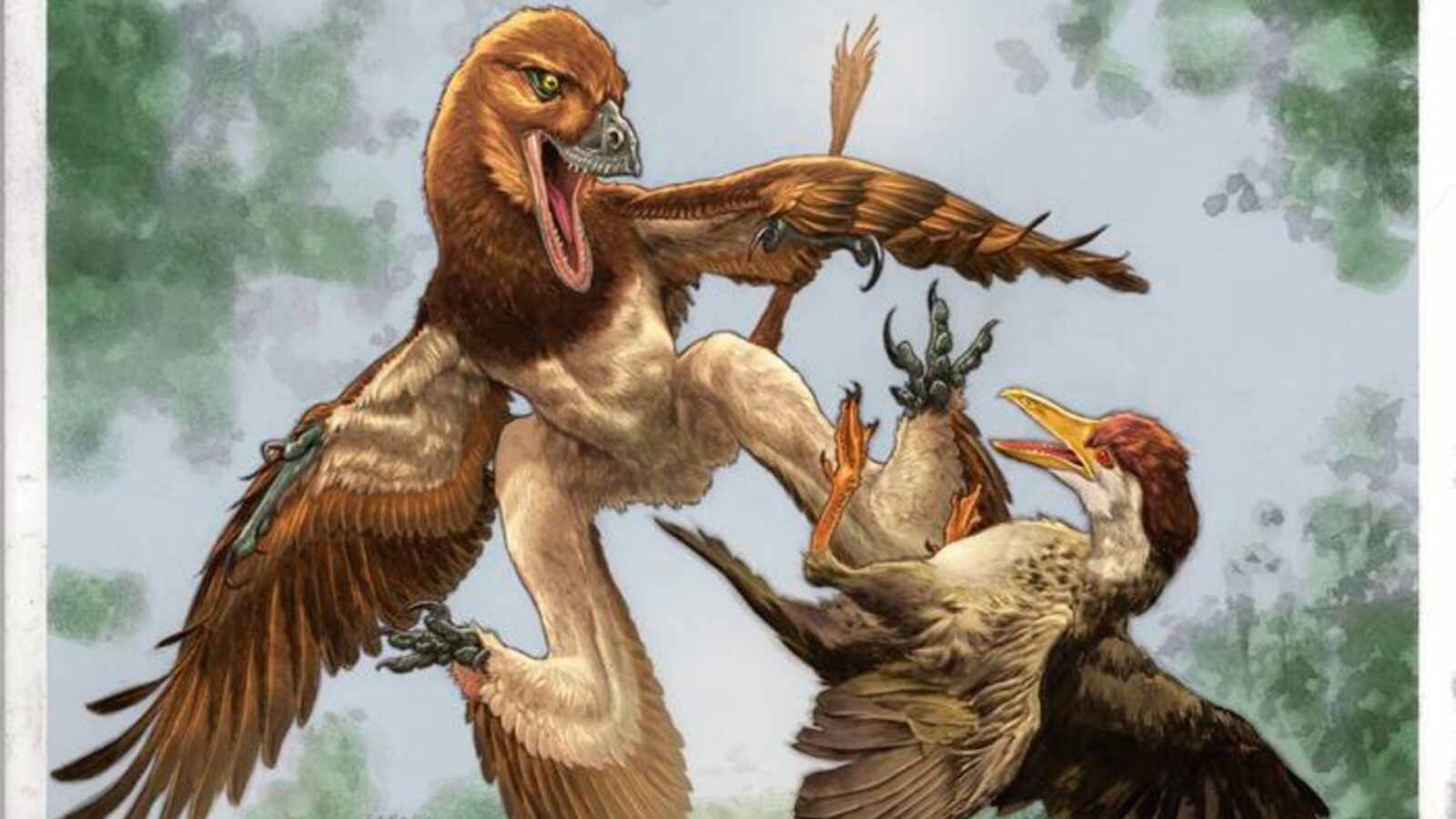 Paleontología: Un primo de Velociraptor con cuatro alas