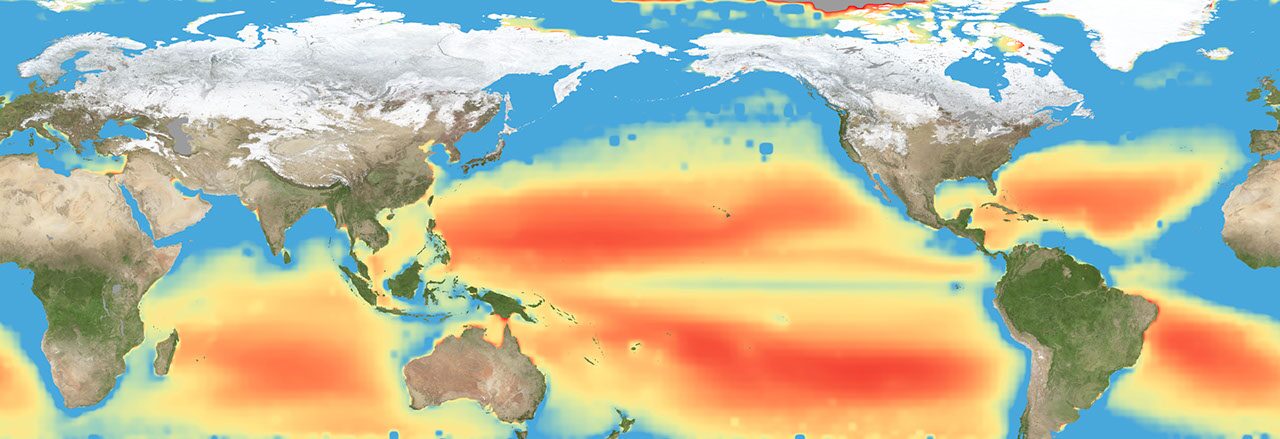Clima: El plancton muestra estrés por nutrientes