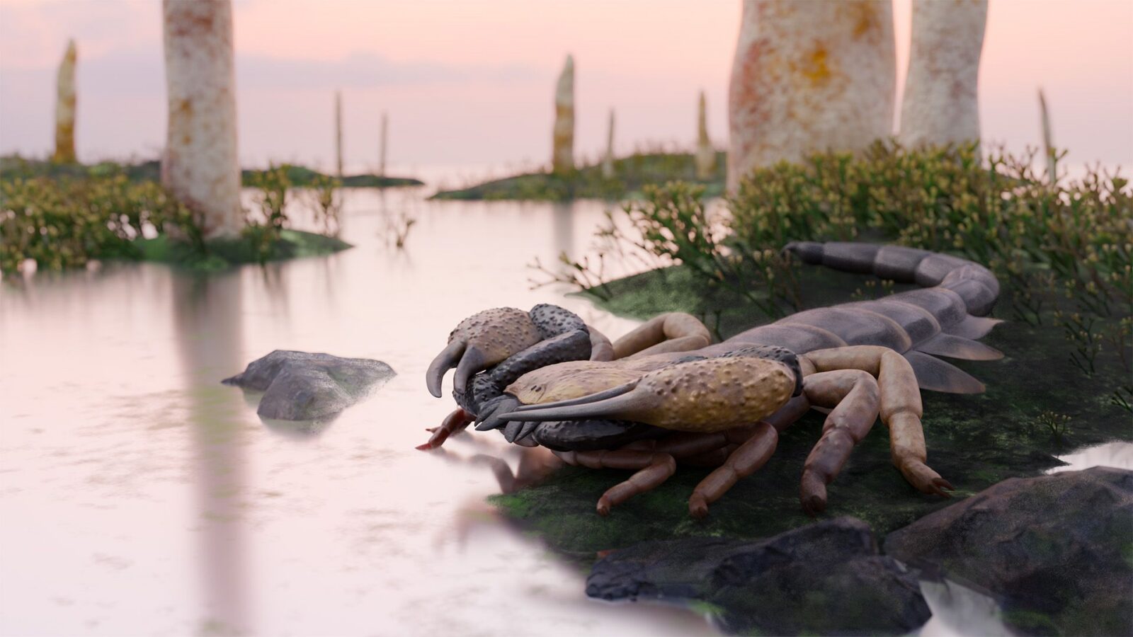 Paleo: Escorpión gigante acechaba el Devónico británico