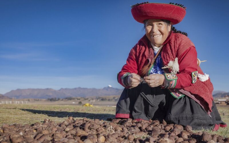 Genética: los andinos digieren mejor la papa