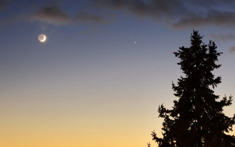 🪐 Astronomía: la Luna y Saturno se citan antes del amanecer