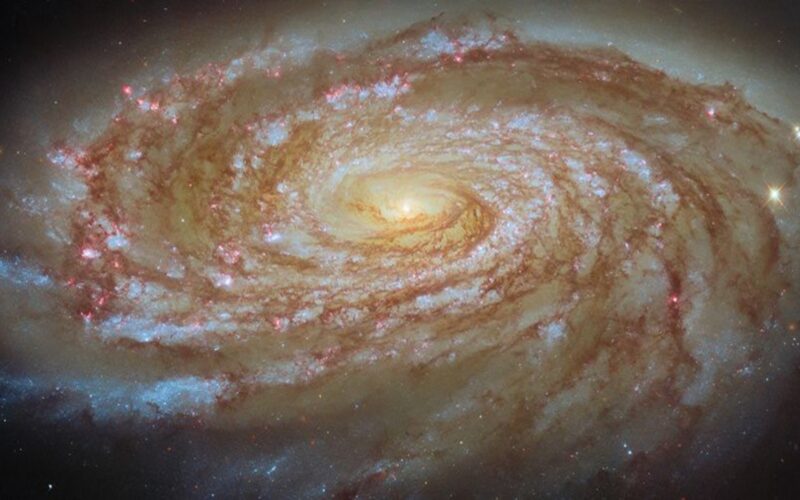 Astronomía: Hubble retrata la espiral M88