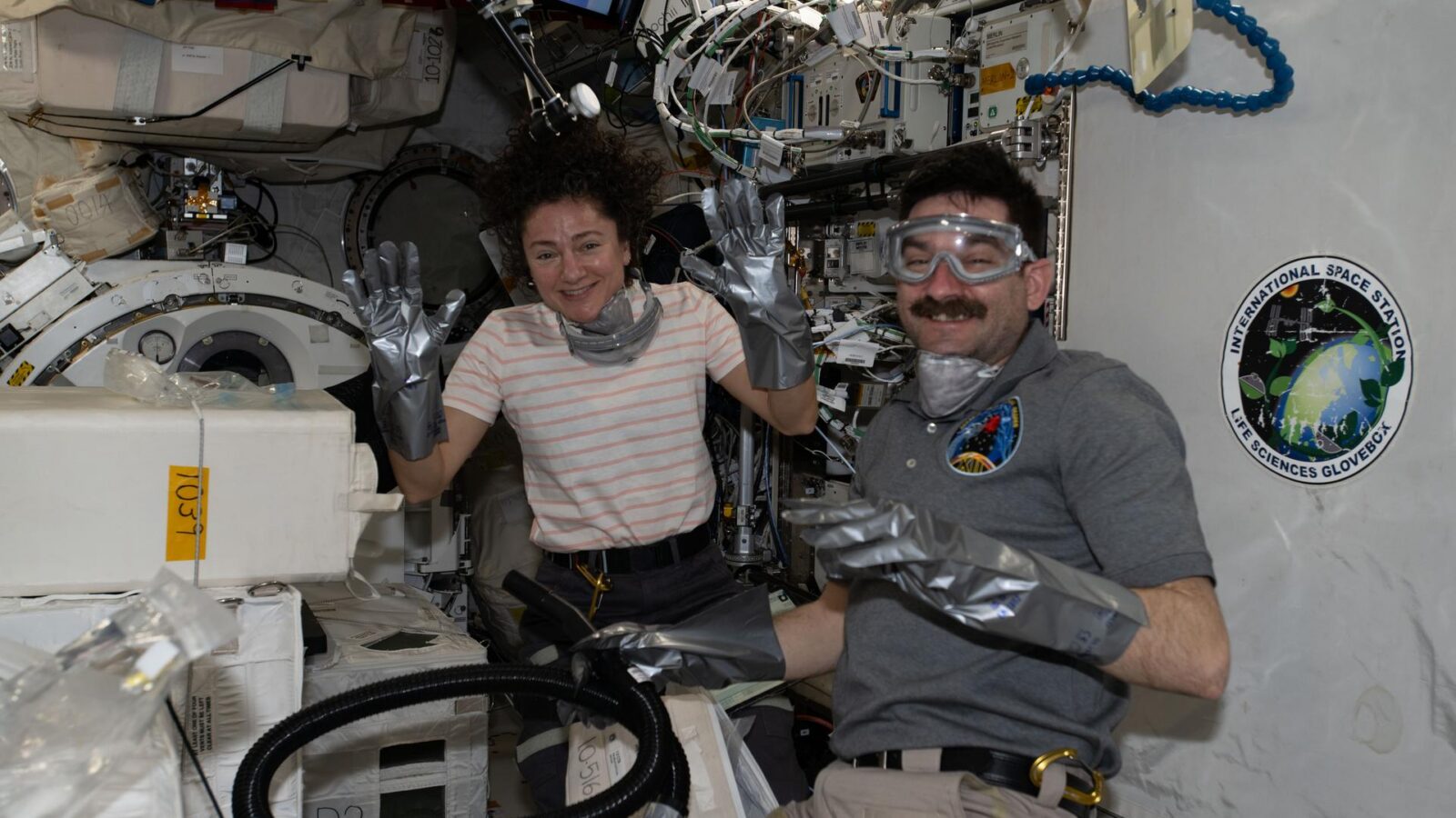 Espacio: Dragon vuelve con muestras biomédicas