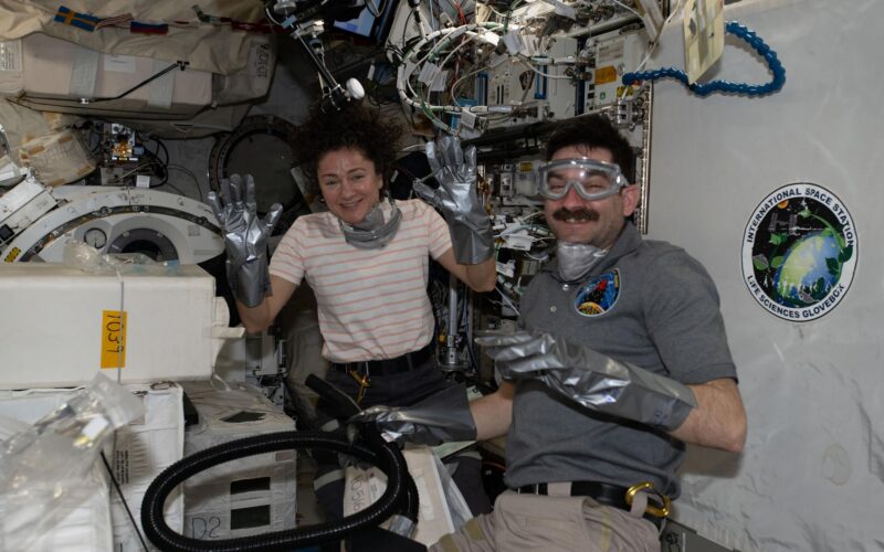 Espacio: Dragon vuelve con muestras biomédicas