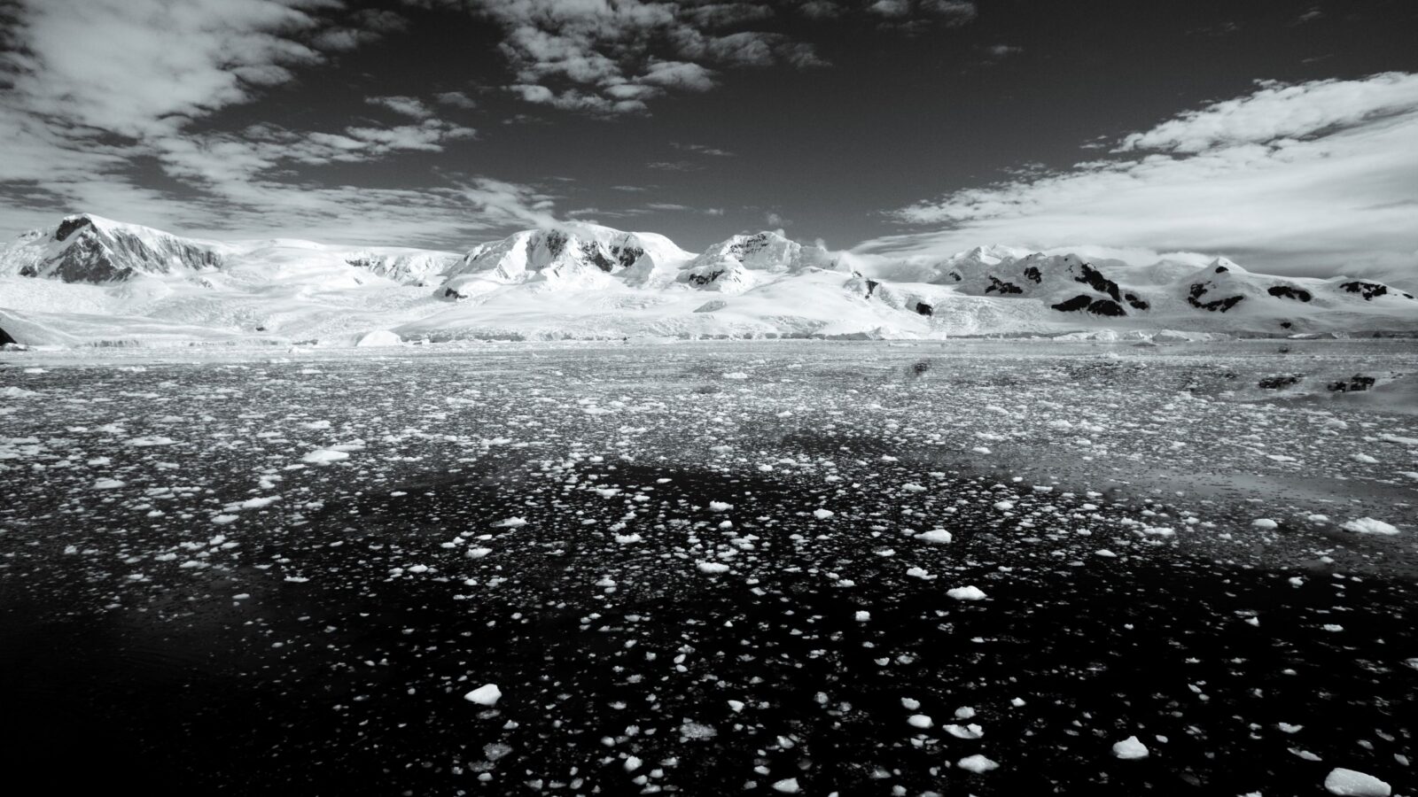 Clima: Falta hielo marino junto a la Antártida
