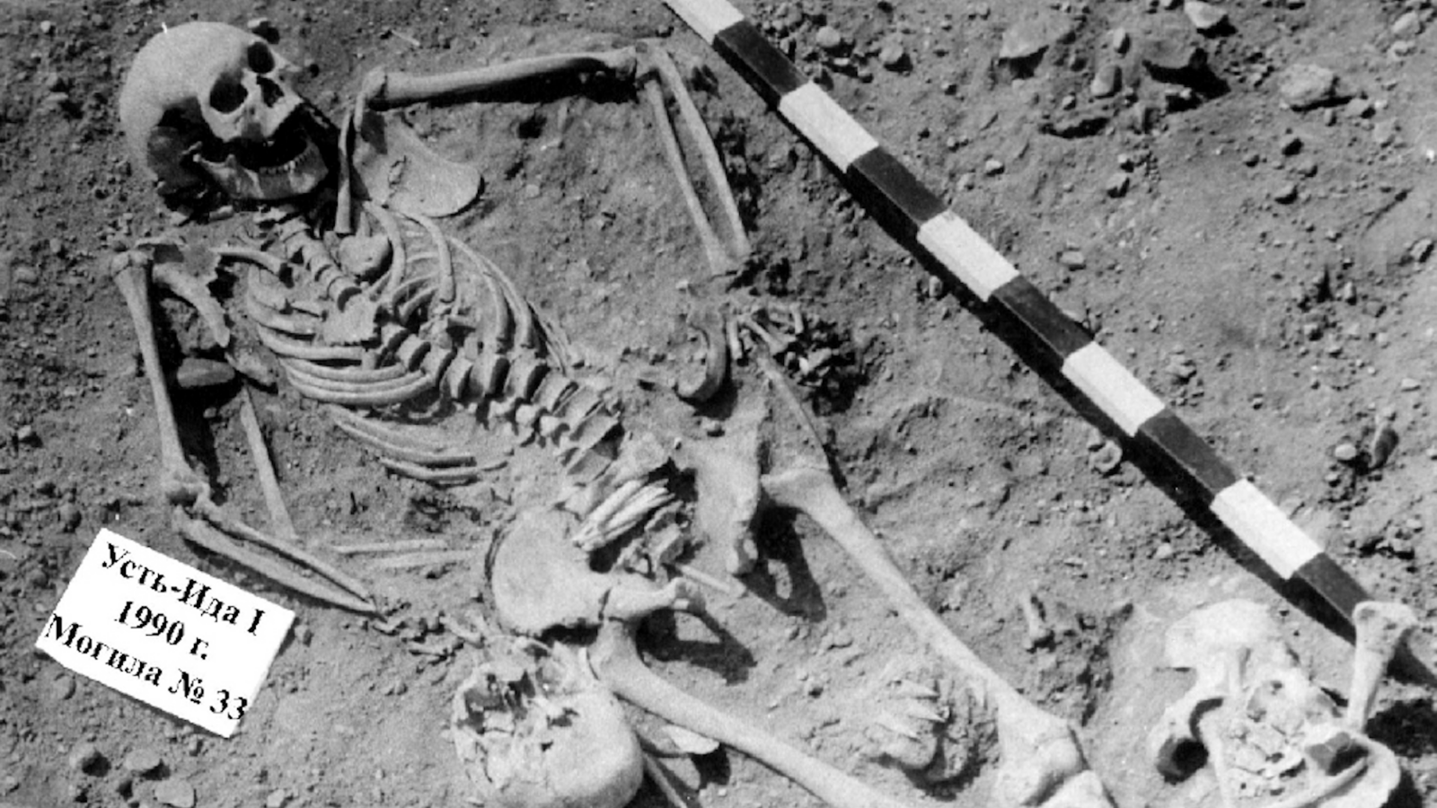 Genética: La peste más antigua aparece en Siberia