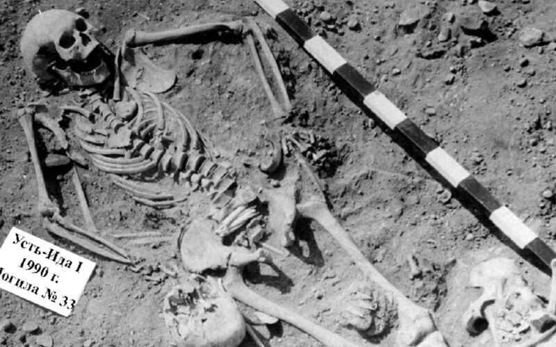Genética: La peste más antigua aparece en Siberia