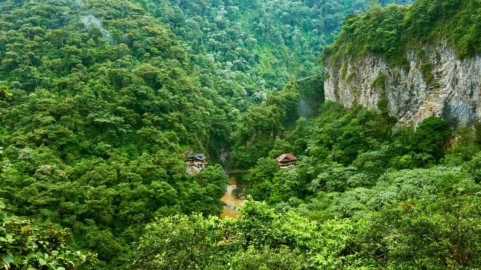 Clima: El Amazonas puede volverse irreconocible