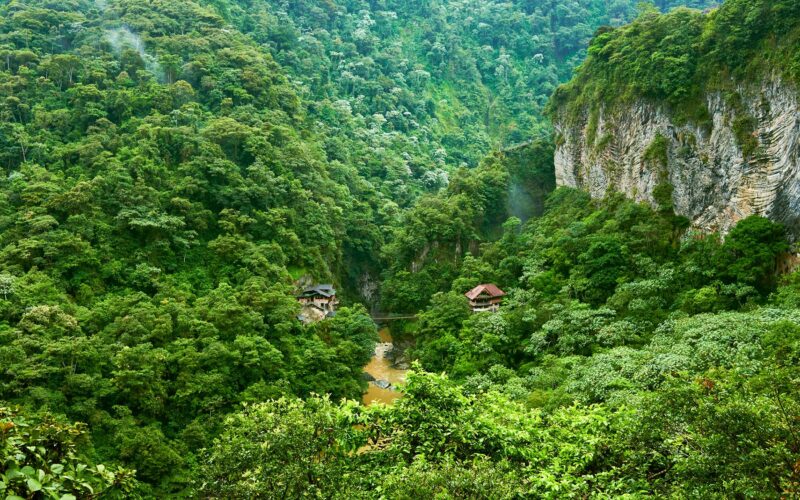 Clima: El Amazonas puede volverse irreconocible