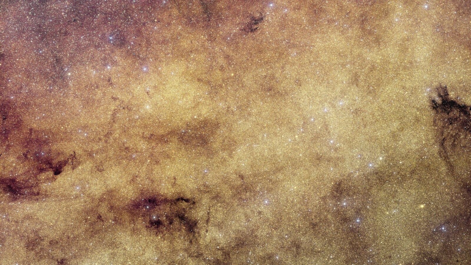 Espacio: Euclid retrata 60 millones de estrellas