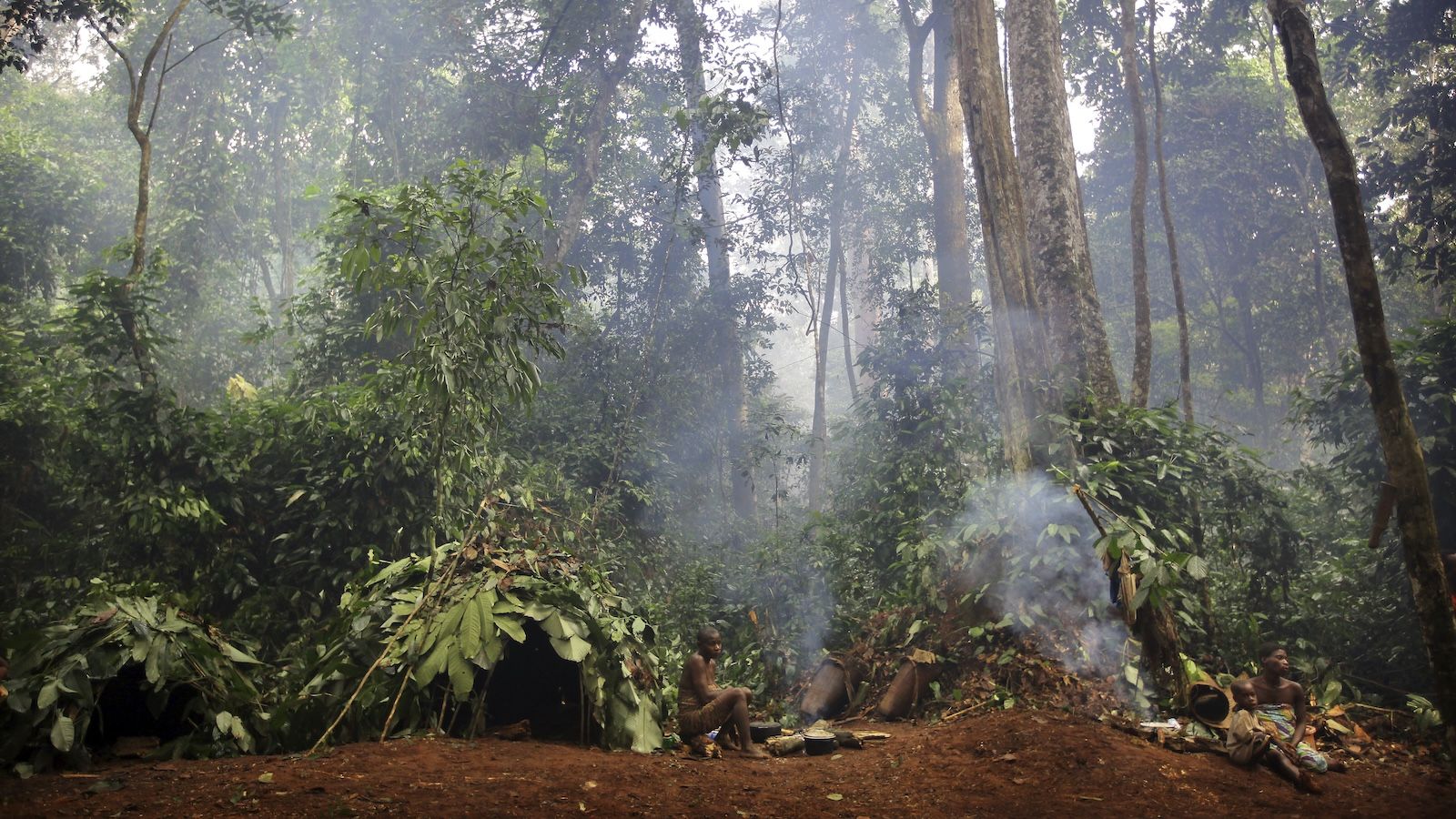 Evolución humana: Homo sapiens bajo la selva