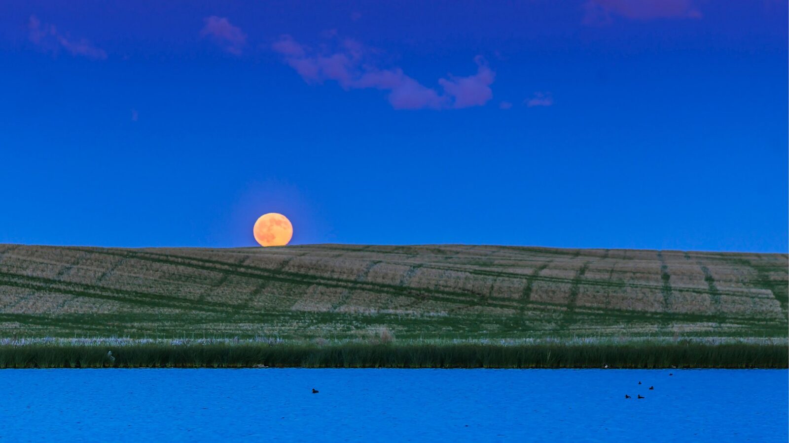 Astronomía: La Luna de Fresa llega baja y pequeña