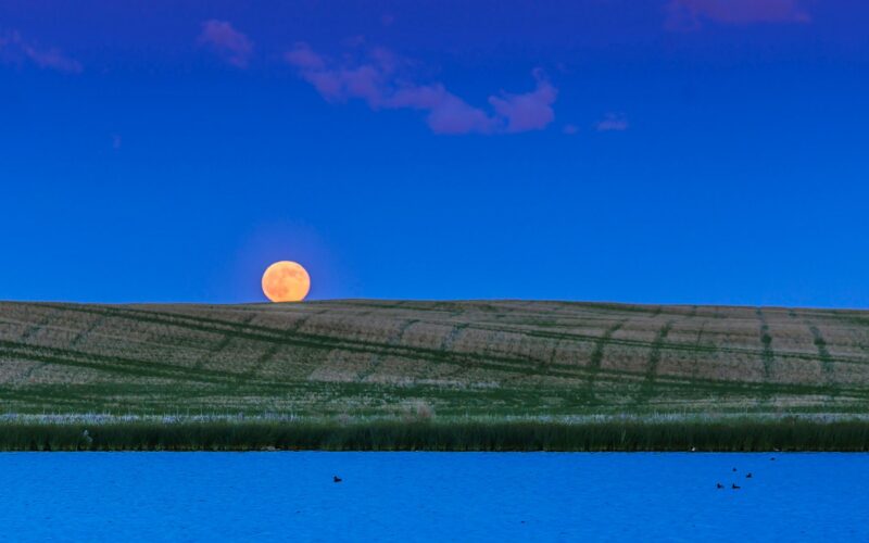 Astronomía: La Luna de Fresa llega baja y pequeña
