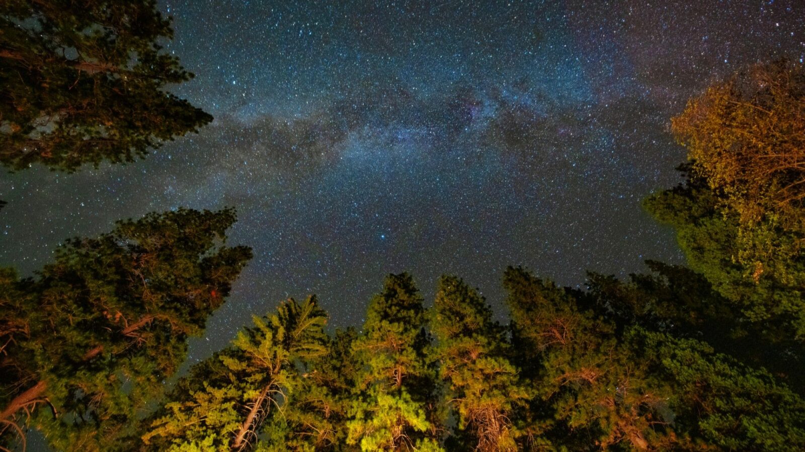 Astronomía: La oscuridad ya tiene precio