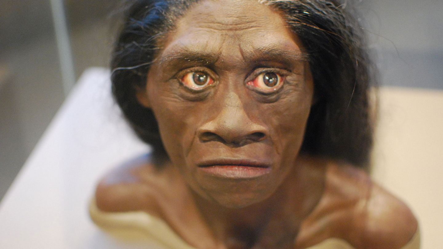 Paleo: Los «hobbits» quizá carroñearon dragones