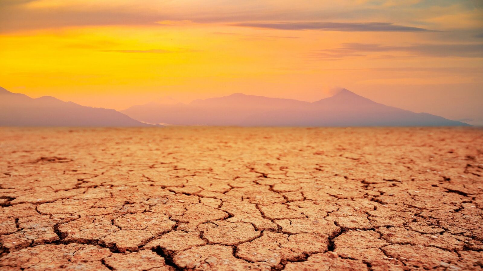 Tierra: La vida tendría 1 800 millones de años más