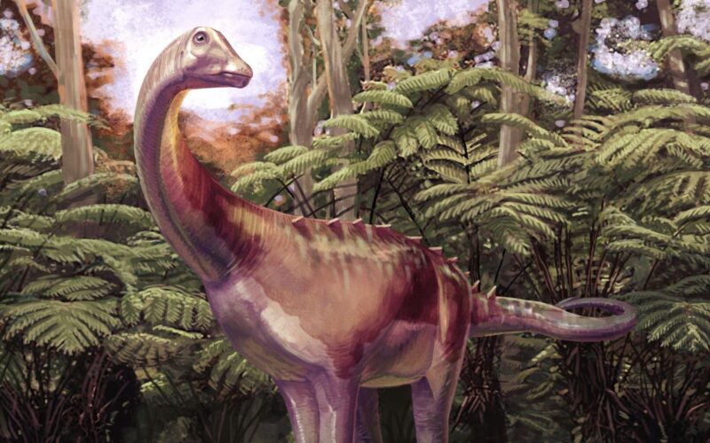 Paleontología: el primer dinosaurio fósil antártico era titanosaurio