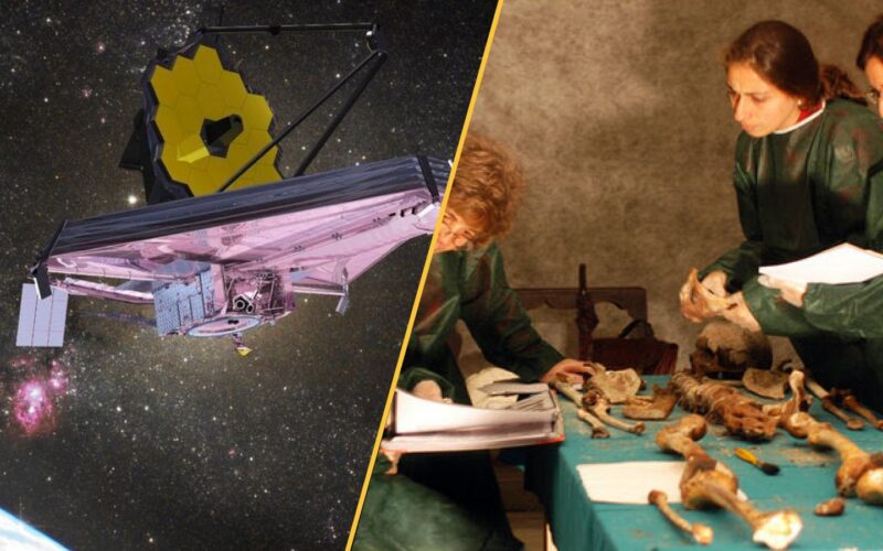 Ciencia: Webb, árboles y misterio Medici