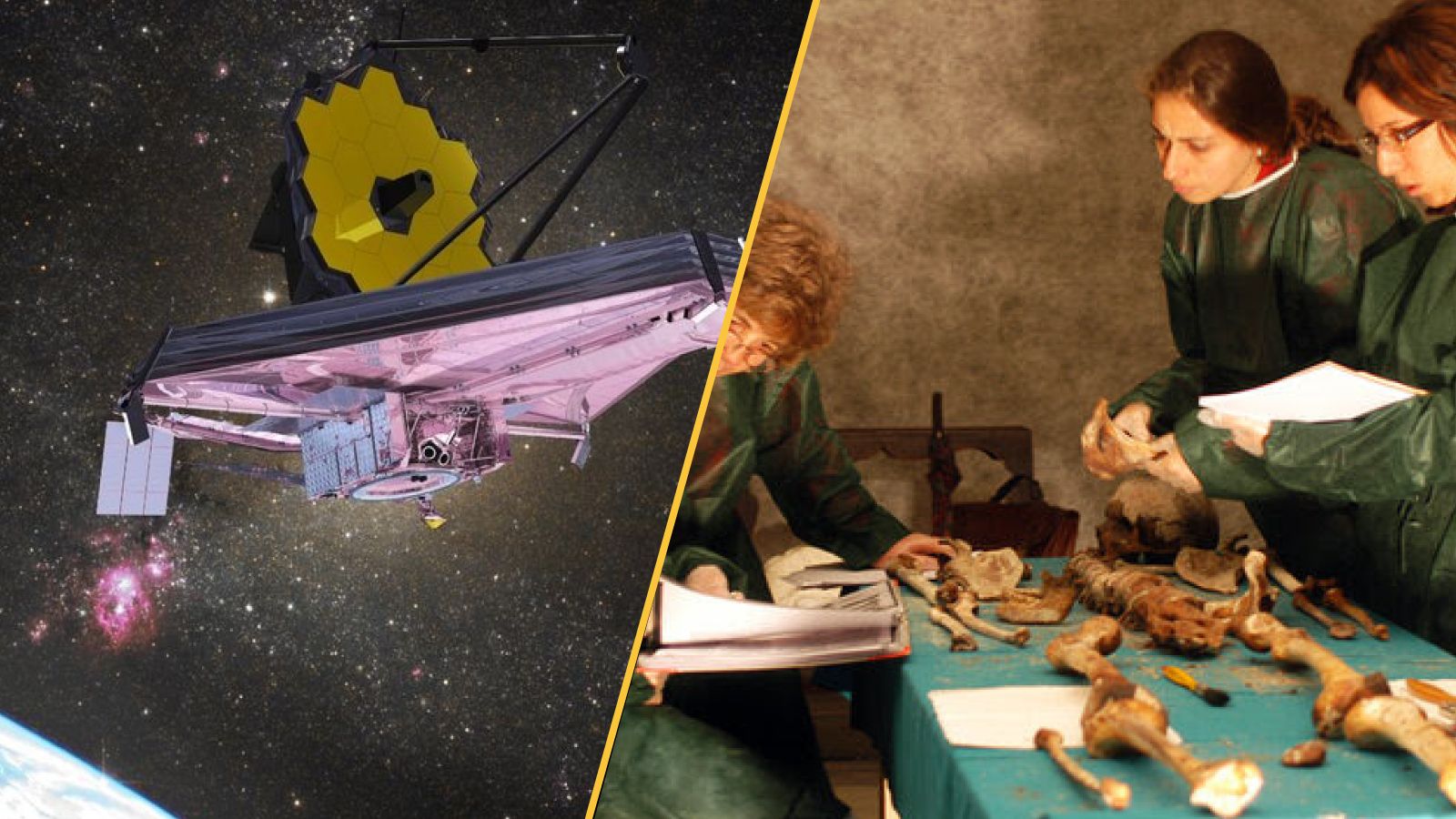 Ciencia: Webb, árboles y misterio Medici