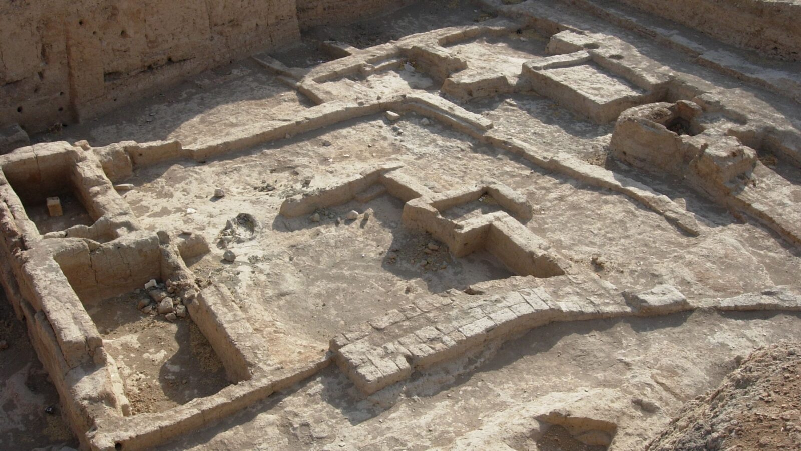 Arqueología: costillas rotas de hace 6 000 años
