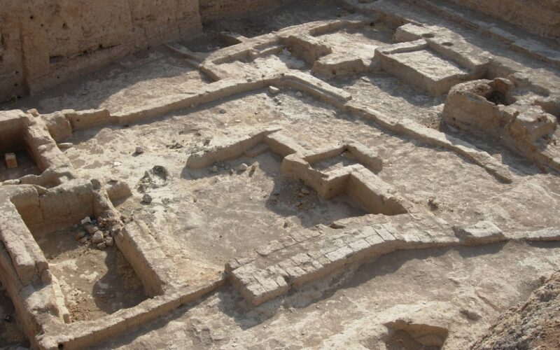 Arqueología: costillas rotas de hace 6 000 años